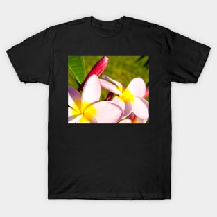 Frangipani closeup. T-Shirt